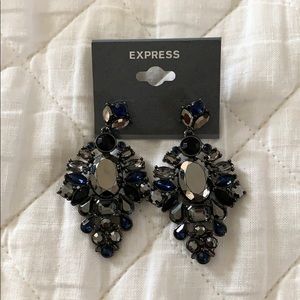 Express Earrings